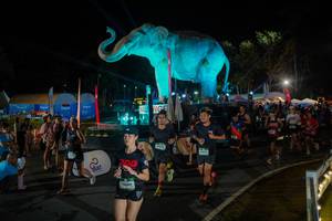 BIB: 
                            <button type="button" onclick="openModal(26552293)" class="btn btn-primary btn-sm float-right btn-popup" data-toggle="modal" data-target=".modal-high-quality">
                        <i class="fas fa-shopping-cart"></i> Add to Cart
                    </button>
                                            <button type="button" onclick="isThisMe(26552293, true)" class="btn btn-success btn-sm float-right btn-popup btn-isme hidden" data-toggle="tooltip" data-placement="bottom" title="นี่คือรูปของคุณใช่ไหม คลิกที่นี่เพื่อเอาเข้าอัลบั้ม">
                        <i class="fas fa-plus"></i> Add to album
                    </button>
                    <button type="button" onclick="isThisMe(26552293, false)" class="btn btn-warning btn-sm float-right btn-popup btn-isnotme hidden">
                        <i class="fas fa-ban"></i> Remove from album
                    </button>